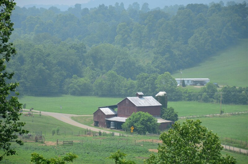 Bourbon Kentucky Bluegrass