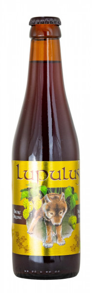 Lupulus Brune Bier - 0,33L 8,5% vol