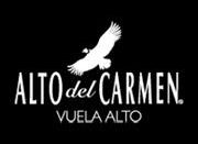 Alto del Carmen