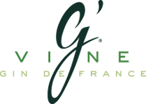 gvine logo