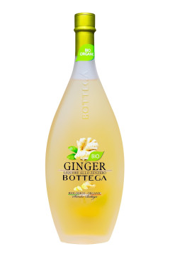 Bottega Ginger Bio - 0,5L 20% vol Bottega Ginger Bio - 0,5L 20% vol