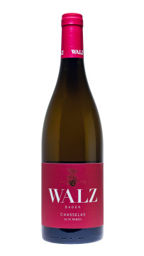 Weingut Walz Maltesergarten Chasselas Alte Reben - 0,75L 12,5% vol